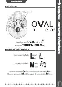 reglas mnemotecnicas