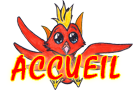 Accueil