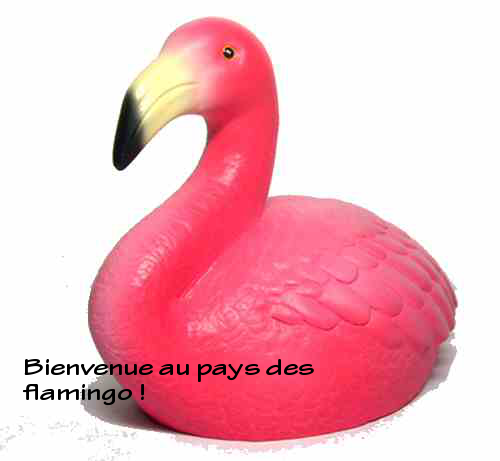 flamingos-2a552af.png