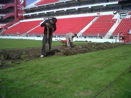 Resembrado del campo de juego